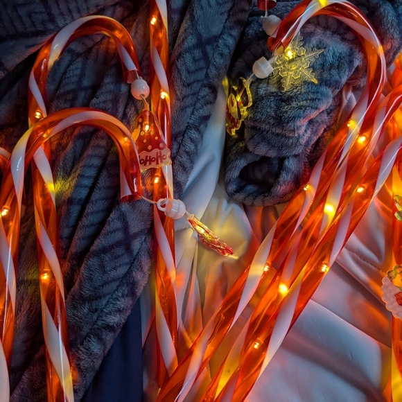 Festive Candy Cane String Lights Battery Operated 12 Pieces (EUC) - Picture 8 of 15